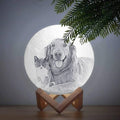 Photo Moon Lamp, Custom 3D Photo Light, Cute Pet 10-15cm
