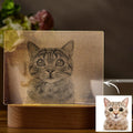 Personalized Photo Night Light Cat Theme
