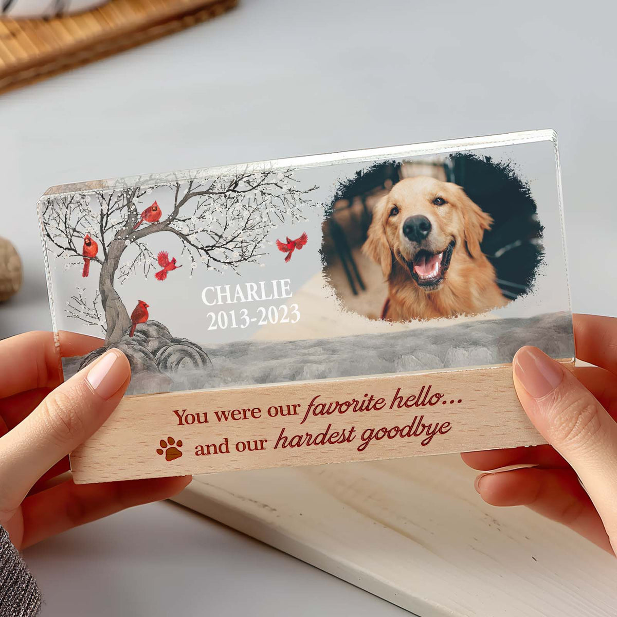 Personalized Pet Photo Night Light Custom Photo Light Memorial Gift for Pet Lover