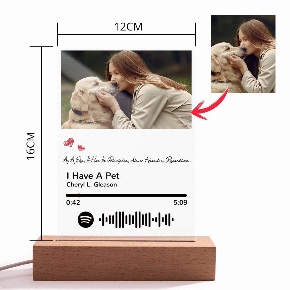 Scannable Spotify Code Night Light Photo Engraved Acrylic Pet Theme Gifts