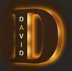 Custom Engraved Letter Lights Gift "D"