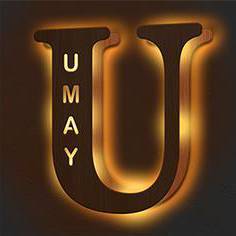Custom Engraved Letter Lights Gift "U"