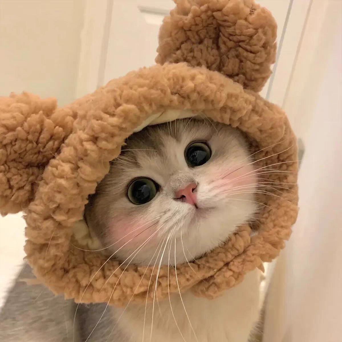 Adjustable Cute Pet Hat for Winter Costume for Cats & Small Dogs, Funny Pet Headwear