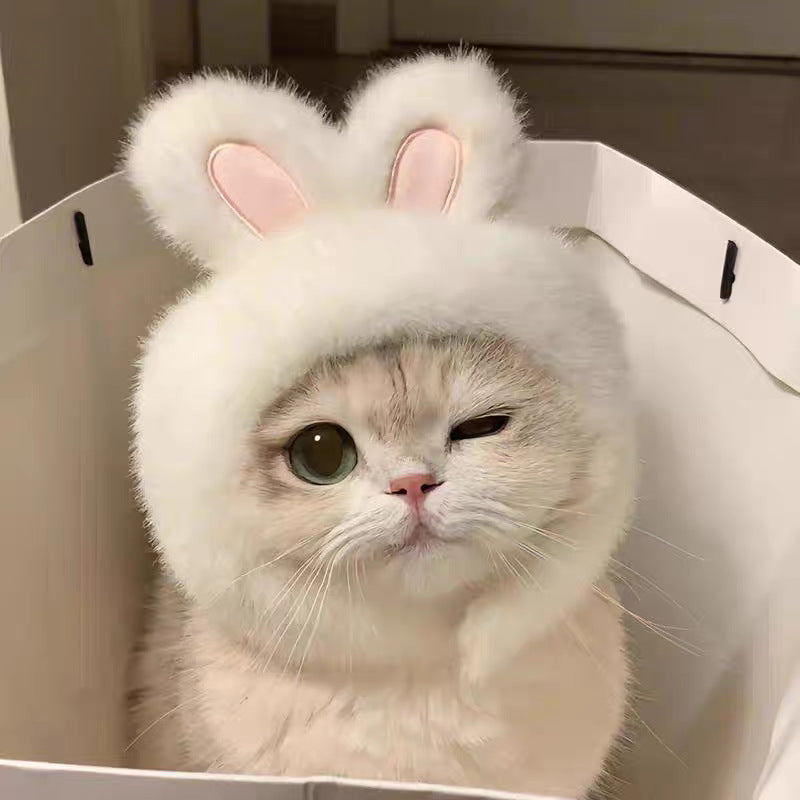 Adjustable Cute Pet Hat for Winter Costume for Cats & Small Dogs, Funny Pet Headwear