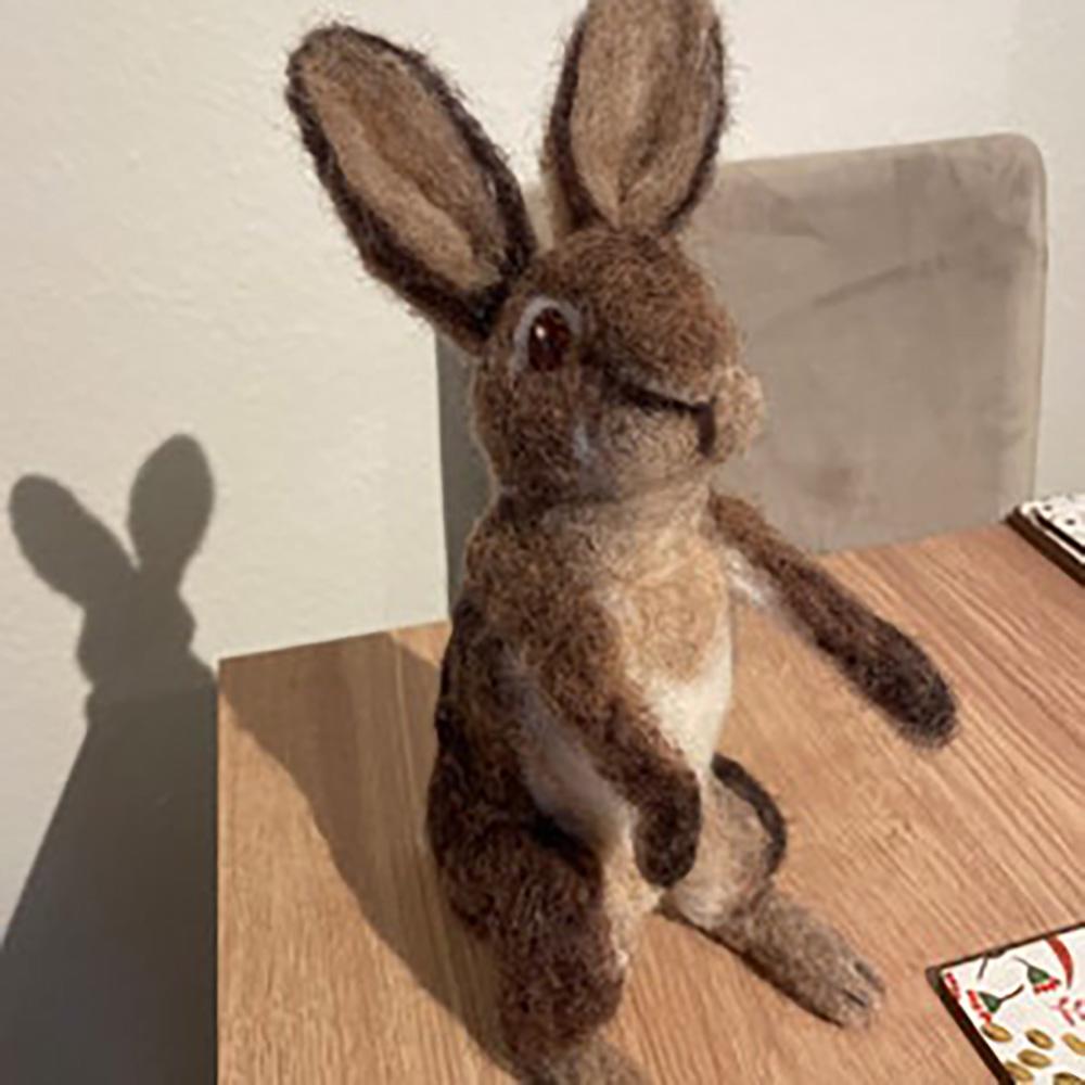 Custom Needle Felted Hare, Personalized Rabbit Gift, Finished Product with Free Gift Box