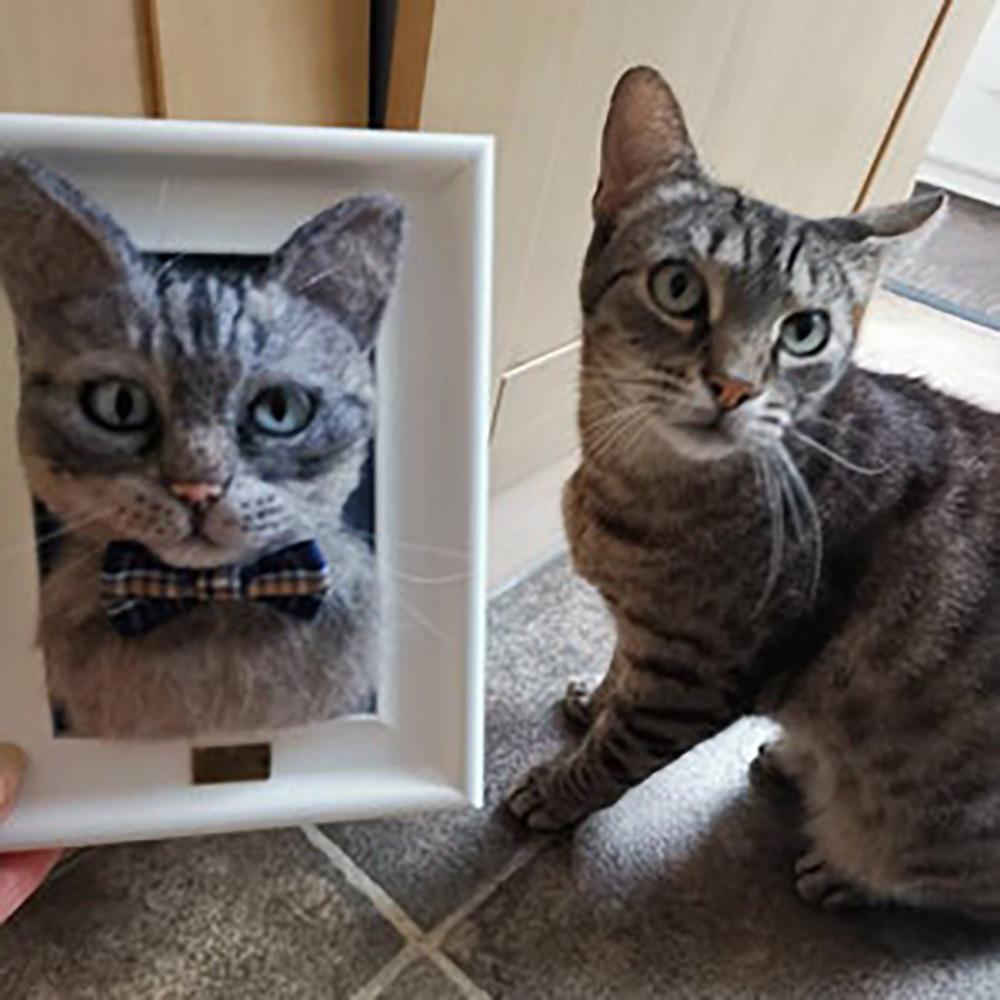 Pet Memorial Gifts Pet Cat/Dog Portrait Custom Wool Photo Frame Gift, Pet Loss Gift