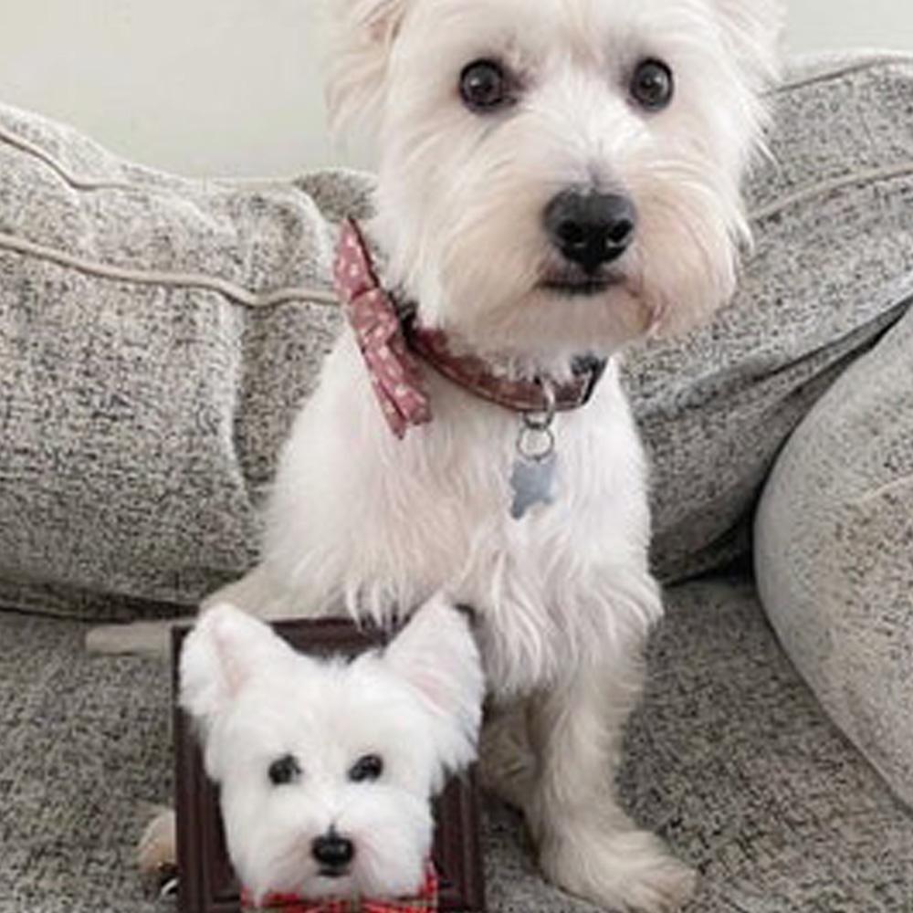 Custom Needle Felted Dog Portrait in Framed