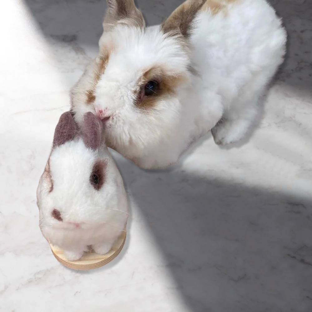 Custom Needle Felted Hare, Personalized Rabbit Gift, Finished Product with Free Gift Box