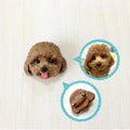 Custom Pet Brooch Handcrafted Personalized Clay Brooch for Pet Lovers