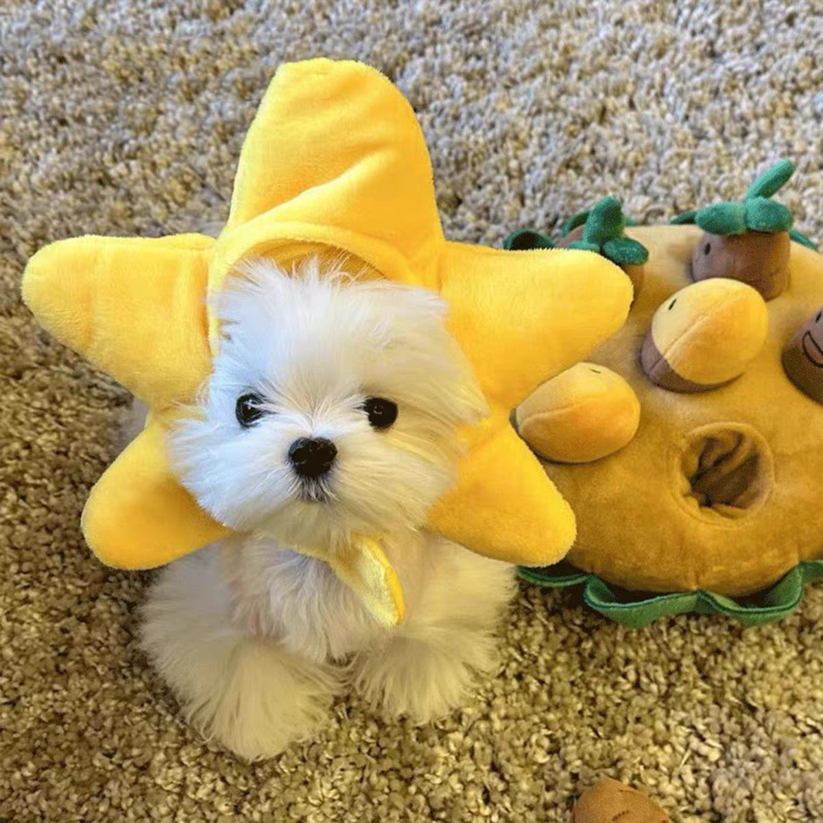 Adjustable Cute Pet Hat for Winter Costume for Cats & Small Dogs, Funny Pet Headwear