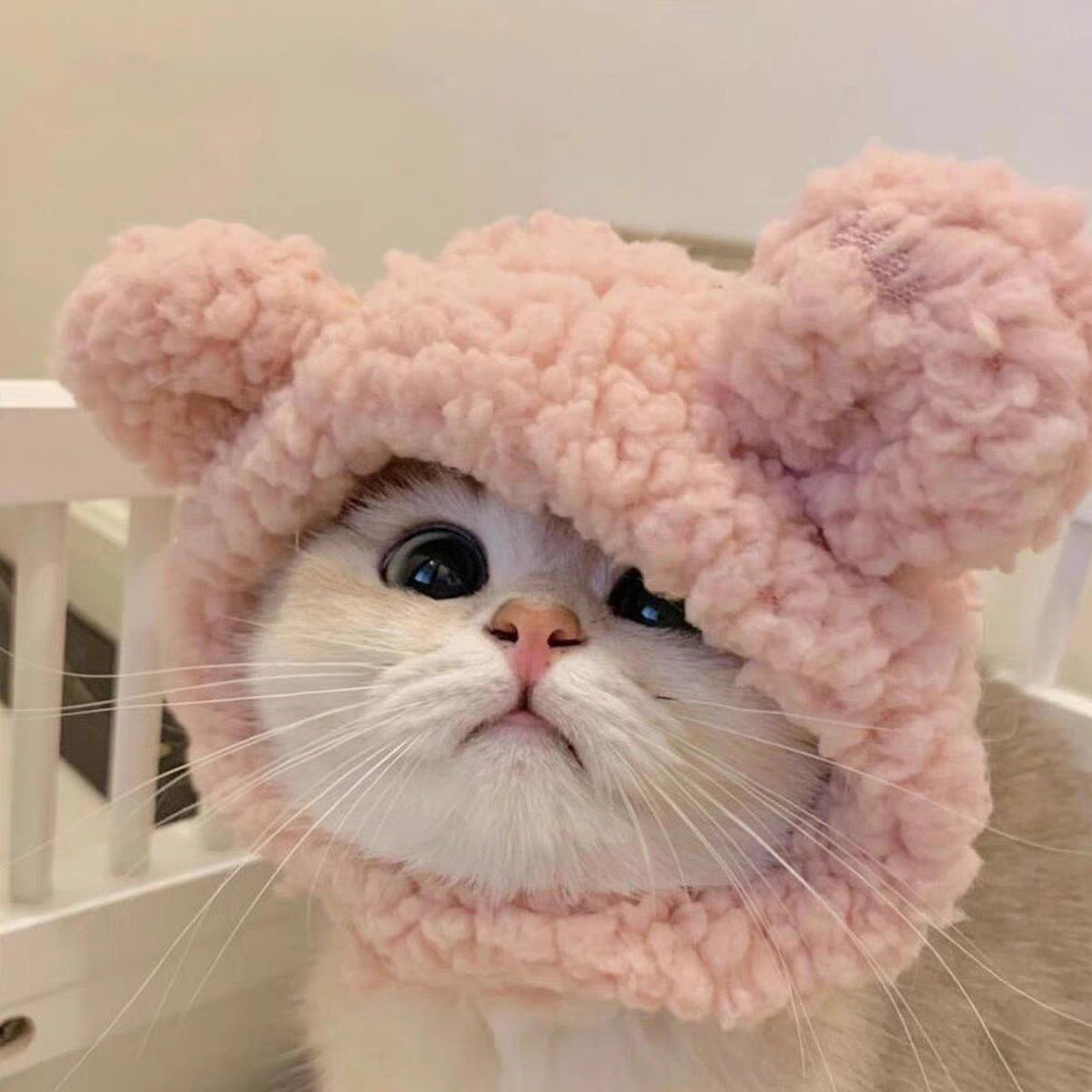 Adjustable Cute Pet Hat for Winter Costume for Cats & Small Dogs, Funny Pet Headwear