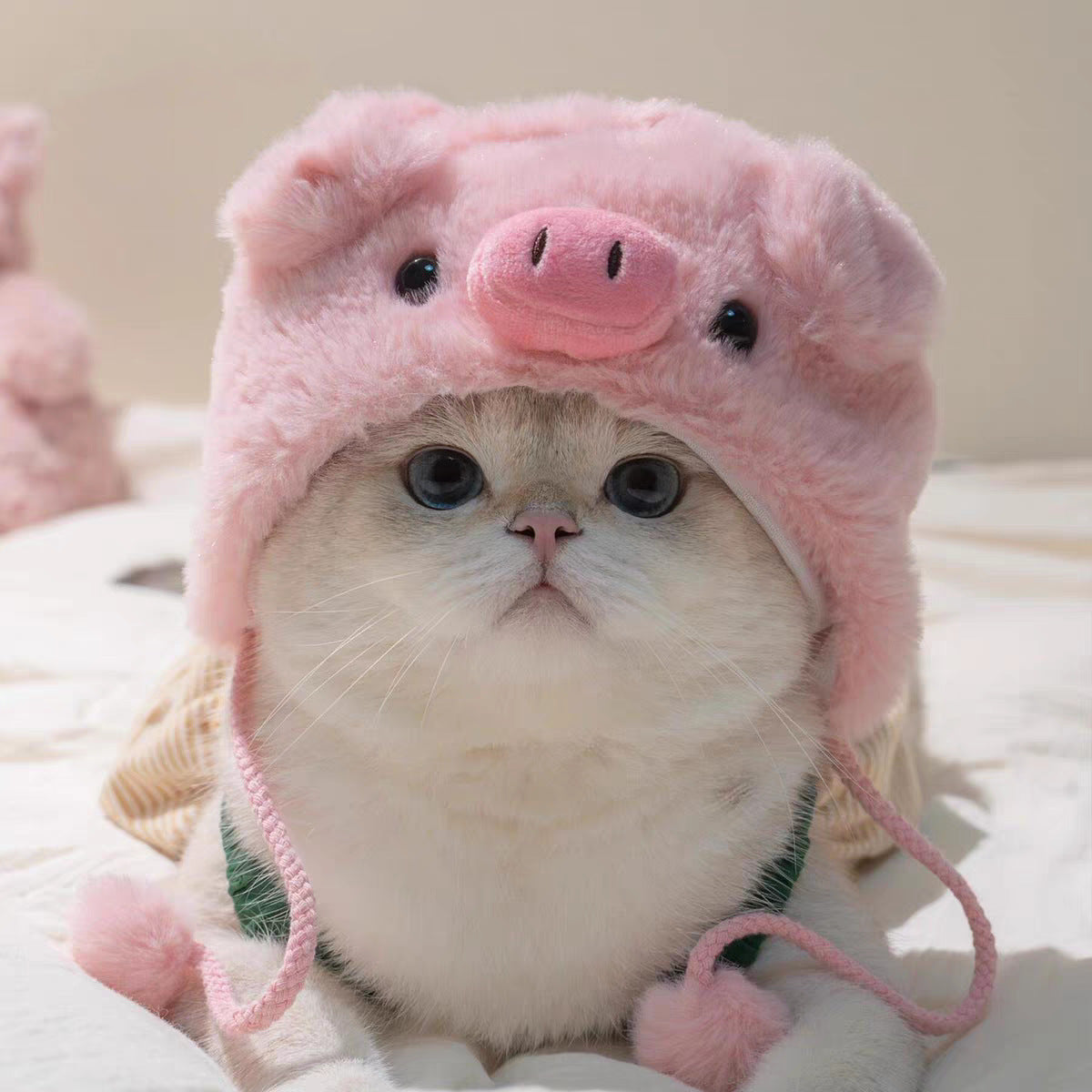 Adjustable Cute Pet Hat for Winter Costume for Cats & Small Dogs, Funny Pet Headwear